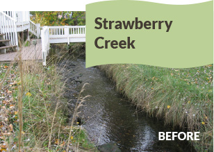Strawberry Creek Before